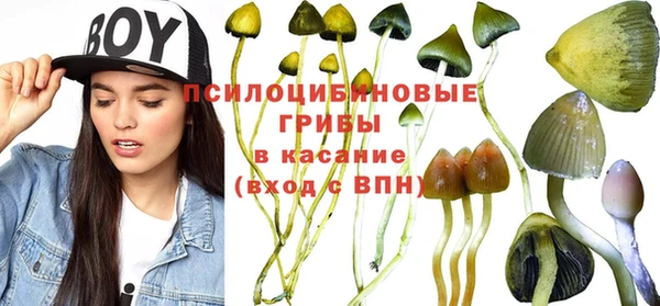 спайс Балахна