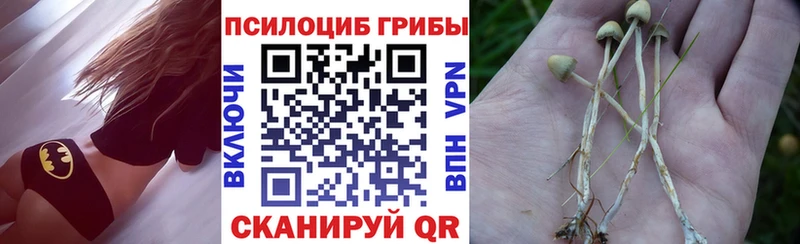 Псилоцибиновые грибы мухоморы  Купить где  Красный Холм 
